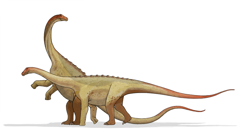 Dinasaurio. Wikimedia Commons